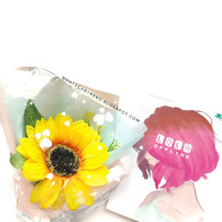 Image of LOLA OFFLINE